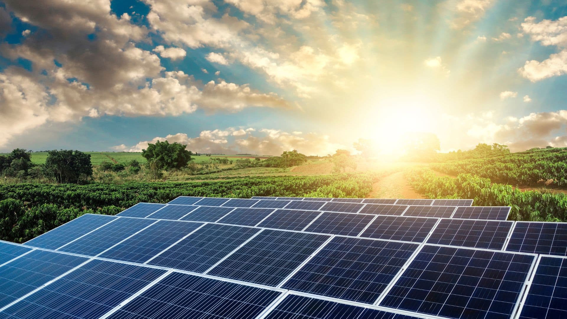 Solar Energy Basics: A Beginner's Guide